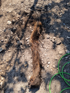 Photo de galerie - Terrassement - Assainissement