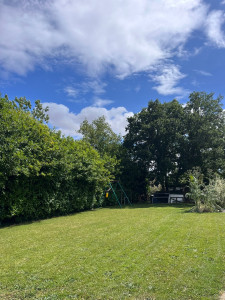 Photo de galerie - Tonte de pelouse - Débroussaillage