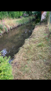 Photo de galerie - Paysagiste - Aménagement du jardin