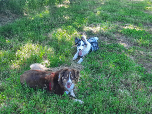 Photo de galerie - Balade socia