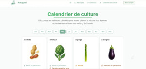 Photo de galerie - Page de mon site internet