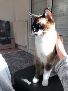 Photo de galerie - Petit moment câlin 