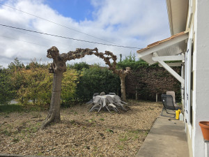 Photo de galerie - Elagage d'arbres 