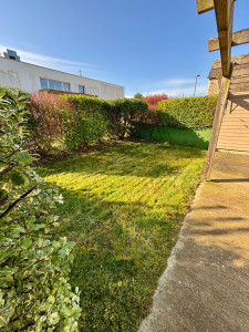 Photo de galerie - Tonte + Taille de haie 