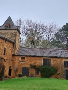 Photo de galerie - élagage