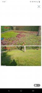 Photo de galerie - Jardinier