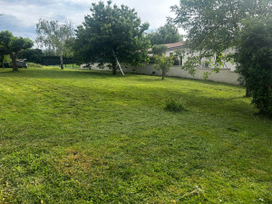 Photo de galerie - Tonte