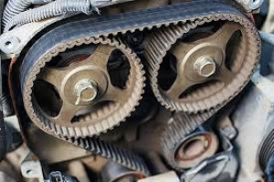 Photo de galerie - Distribution 