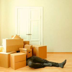 Photo de galerie - à votre service 