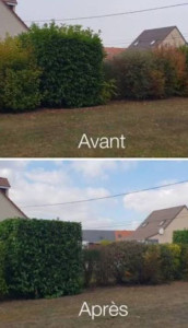 Photo de galerie - Client très satisfait 