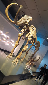 Photo de galerie - Dépannage en plomberie électricité et montage de meuble