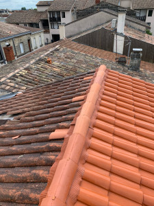 Photo de galerie - Nettoyage et démoussage de toiture : différence visible entre le pan nettoyé et le pan avant intervention, avec élimination des mousses, traces noires et salissures.