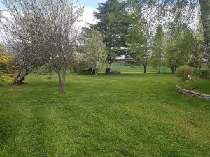 Photo de galerie - Tonte d'un jardin de 6000m2