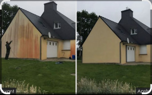 Photo de galerie - Traitement fongicide 