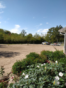 Photo de galerie - Paysagiste - Aménagement du jardin