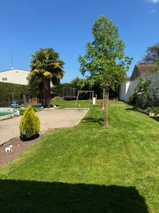 Photo de galerie - Tonte de pelouse  