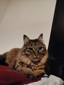 Photo de galerie - Salsa pour son premier séjour 