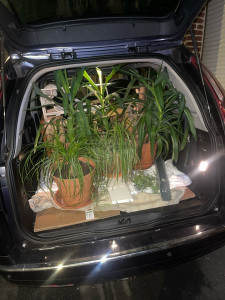 Photo de galerie - Transport d'objets 