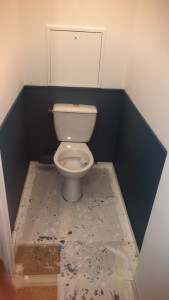Photo de galerie - J’ai refais la peinture des toilettes Murs er Plafond
