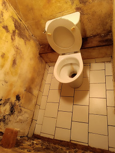 Photo de galerie - Ménage