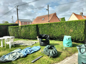 Photo de galerie - Taille de haies et d'arbustes