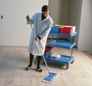 Photo de galerie - Un esprit sain dans un environnement sain