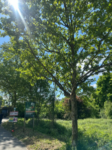 Photo de galerie - Remise à niveau 