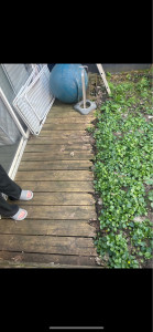 Photo de galerie - Paysagiste - Aménagement du jardin