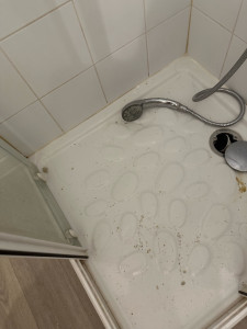 Photo de galerie - Ménage