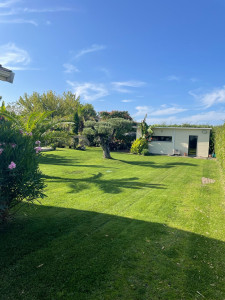 Photo de galerie - Entretien espace vert 