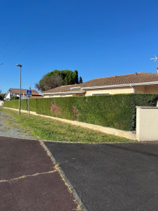 Photo de galerie - Paysagiste - Aménagement du jardin