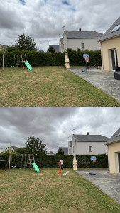 Photo de galerie - Taille de haies et d'arbustes