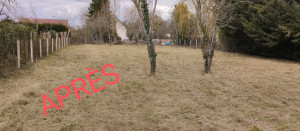 Photo de galerie - Débroussaillage 