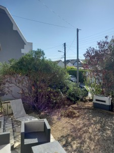 Photo de galerie - Espaces verts 