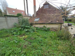 Photo de galerie - Debrouissaillage et coupe de petit arbustes 