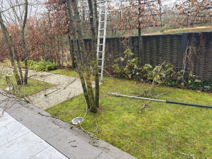 Photo de galerie - Nettoyage jardin tonte élagage et taille de haie 