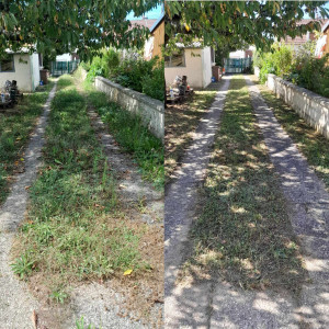 Photo de galerie - Utilisation de le Debroussailleuse puis finition à la tondeuse.
Utilisation du souffleur pour finir.