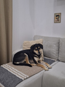 Photo de galerie - Inaki ?  