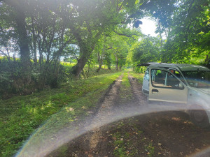 Photo de galerie - Après la debroussailleuse 