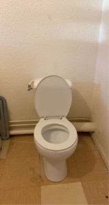 Photo de galerie - Remplacement de wc + robinet d’arrêt 