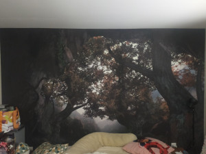 Photo de galerie - Peinture - Tapisserie