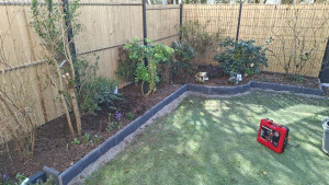 Photo de galerie - Réalisation d'un parterre avec pose de bordure béton 