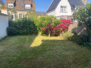 Photo de galerie - Tonte de pelouse - Débroussaillage