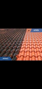 Photo réalisation - Couverture - Toiture - Cheane (espace vert sagot) - Fourchambault (Ouest) : Nettoyage toiture 