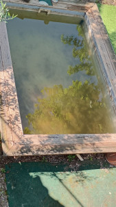 Photo de galerie - Entretien piscine