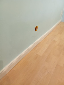 Photo de galerie - Plinthes électriques 
belle époque 