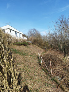 Photo de galerie - Après 