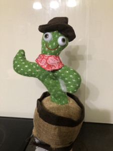 Photo de galerie - Réparation express d’un titi cactus pour enfant triste