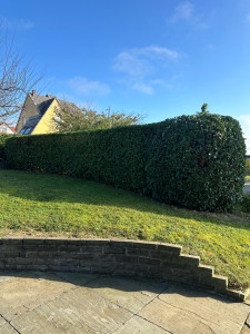 Photo de galerie - Une fois la haie finis 