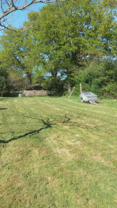 Photo de galerie - Mise au propre 